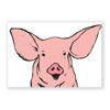 Glückwunschkarten mit Schwein