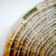 Abfall wird Kunst