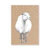 Schaf im Schnee, Recycling-Weihnachtskarten