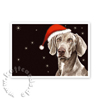 Weimaraner, Weihnachtskarten mit Hund