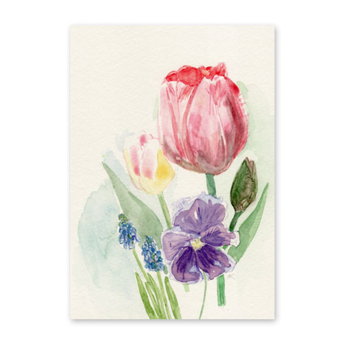 Tulpen, Hyazinthen, Stiefmütterchen, Grußkarten mit gemalten Blumen