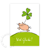 Viel Glück! Glückwunschkarten mit glücklichem Schwein auf einer grünen Wiese