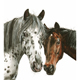 Pünktchen und Anton – eine Illustration aus einem Buch mit Pferdegeschichten, Tierzeichnungen