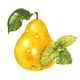 Birne/Melisse, Illustration für eine österreichische Limonadenmarke