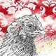 Huhn, Illustration