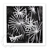 quadratische Neujahrskarten mit Feuerwerk